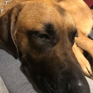 Meet your Posher, Katie